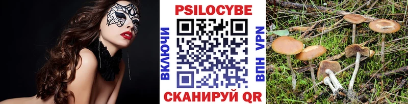 omg ТОР  Нягань  Галлюциногенные грибы прущие грибы  купить закладку 